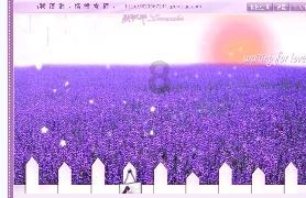 秘密花园找不同